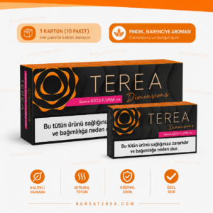 TEREA Dimensions Noor