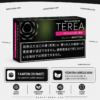 TEREA Black Menthol
