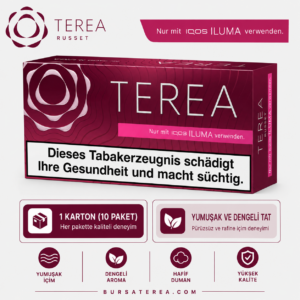TEREA Russet